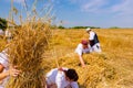 Women are gather bundles of mowed wheat Royalty Free Stock Photo