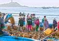 Women groups struggling carry fish to coastline