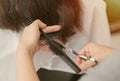 Women hair cutting