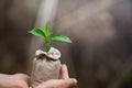 Women hand holding growing seedlings in fertile soil bags, Planting trees to reduce global warming, environment Earth Day, Forest Royalty Free Stock Photo