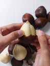 Women hand peeling salak fruit or snakefruit. background in white