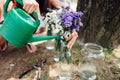 Women hand watering flowers