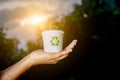 the women handling recycle and composted plant Royalty Free Stock Photo