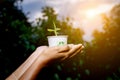 the women handling recycle and composted plant Royalty Free Stock Photo