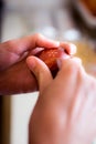 Women hands decorating Easter eggs