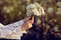 Women hands holding flowers in a rural field outdoors, lust for life Royalty Free Stock Photo