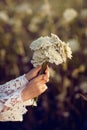 Women hands holding flowers in a rural field outdoors, lust for life