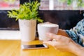 Women hands holding hot cup of coffee or tea in morning sunlight Royalty Free Stock Photo