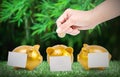 Women hands putting coin into three gold piggy bank with a Post-it taped on lawn.