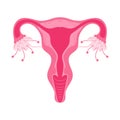 Women health Uterus Floral Ovary reproductive system Concept Royalty Free Stock Photo