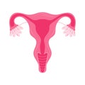 Women health Uterus Floral Ovary reproductive system Concept Royalty Free Stock Photo