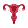 Women health Uterus Floral Ovary reproductive system Concept Royalty Free Stock Photo