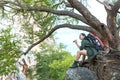 Women hiker with backpack on big tree checks map to find directions and look binoculars in wilderness area forest. Royalty Free Stock Photo