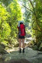 Women hiker with backpack checks map to find directions in wilderness area at waterfalls and forest. Royalty Free Stock Photo