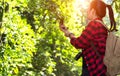 Women hiker with backpack checks map to find directions in wilderness area at waterfalls and forest. Royalty Free Stock Photo