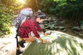 Women hiker with backpack checks map to find directions in wilderness area at waterfalls and forest. Royalty Free Stock Photo