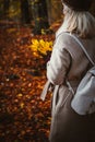 Women holding bouquet of yellow autumn maple leaves in her gloved hands. Ground covered with golden leaves lightend by