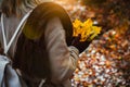 Women holding bouquet of yellow autumn maple leaves in her gloved hands. Ground covered with orange leaves lightend by Royalty Free Stock Photo