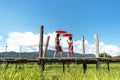 The Women holding a red umbrella and walk on the wooden bridge in the green rice field. Mae Hongson Thailand. Royalty Free Stock Photo