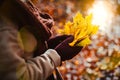 Women holds bouquet of autumn yellow maple leaves in her gloved hands. Backlit sunshine reflection with sun beams and Royalty Free Stock Photo