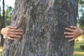 Women hug big tree Royalty Free Stock Photo