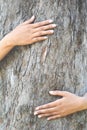 Women hug big tree Royalty Free Stock Photo