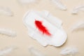 Women hygiene products or Sanitary pad with red feather on colored background. Pastel color. Closeup. Empty place for