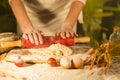 women baker hands pasta butter cook tomato yeast ingredient preparation dough and making bread Royalty Free Stock Photo