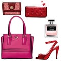 Women leather color handbags, purses and shoes
