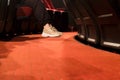 Women legs in an empty movie theater with no audience in the seats Royalty Free Stock Photo