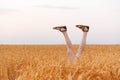 Women legs sticking out of wheat field in sunny day. Concept of leisure happiness