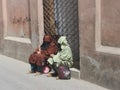 Women Moroccan resting after making the purchase Royalty Free Stock Photo