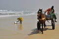 Women at the ocean and horse driven chariot