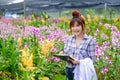 Women Orchid Researchers are exploring and documenting the characteristics of orchids in the garden