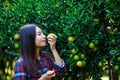 Women owner tangerine garden checking quality product and Grab a tangerine and smell it in her garden.and look at her very happy