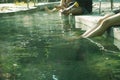 Women and people stretch their legs and feet soaked in hot mineral spring water. Health and relaxation activities at Sankampang Royalty Free Stock Photo