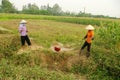 Women performing manual irrigation