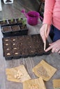 Women planting vegetable seeds at home Royalty Free Stock Photo