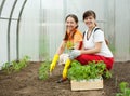 Women planting tomato spouts