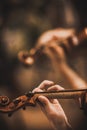 Quartet violin and cellos - closeup on hands - female hands