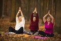 Women practicing yoga in autumn park, Ukraine. Chernihiv