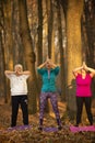 Women practicing yoga in autumn park, Ukraine. Chernihiv