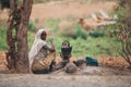 Women preparing bunna coffee, Ethiopia