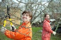 Women pruning fruits tree