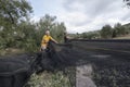 Two local women pull huge black nets full of olives; jaÃÂ©n Spain