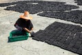 Women put charcoal pack bar made from coconut shell on the floor Royalty Free Stock Photo