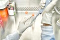 The women researcher using pipette and cell culture flask do the aseptic technique for changing the medium of adherent cell cultur Royalty Free Stock Photo