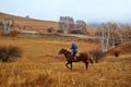 Women riding horse Royalty Free Stock Photo