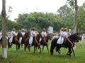 Women riding Peruvian Paso Horses, Lima