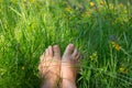 Women`s bare feet in the green grass. Royalty Free Stock Photo